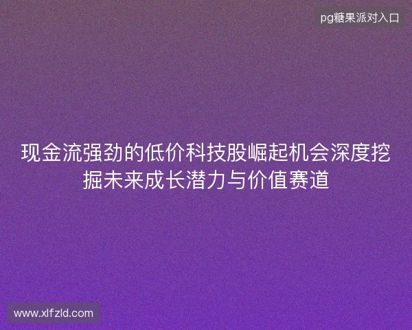 现金流强劲的低价科技股崛起机会深度挖掘未来成长潜力与价值赛道 现金流强劲的低价科技股崛起机会深度挖掘未来成长潜力与价值赛道