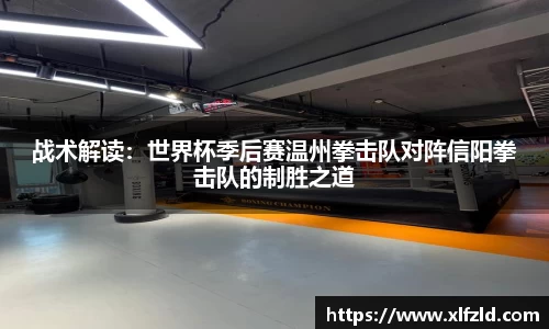 战术解读：世界杯季后赛温州拳击队对阵信阳拳击队的制胜之道